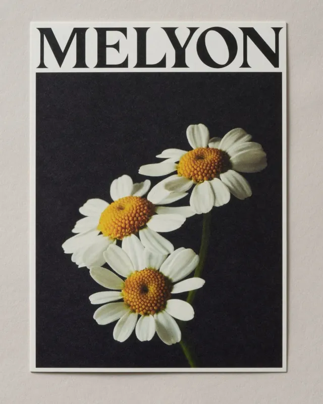 Melyon Gallery gavekort til hudplejegave