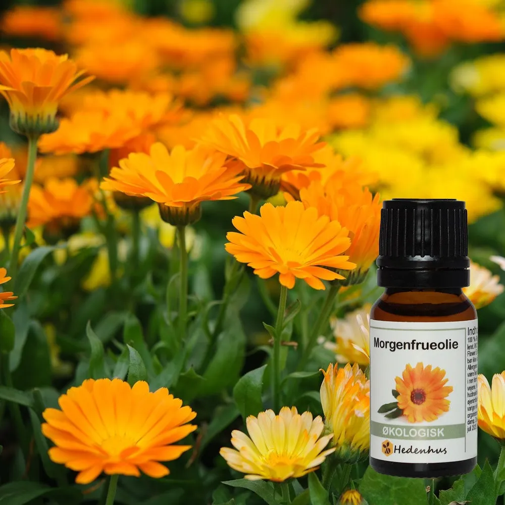 Hedenhus.dk Morgenfrueolie Økologisk Calendula Hudpleje