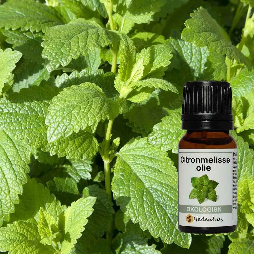 Hedenhus.dk Citronmelisseolie økologisk æterisk olie