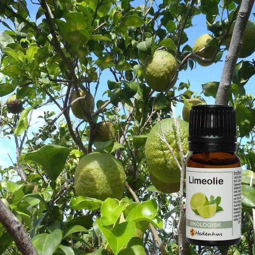 Hedenhus limeolie økologisk æterisk citrus til hudpleje