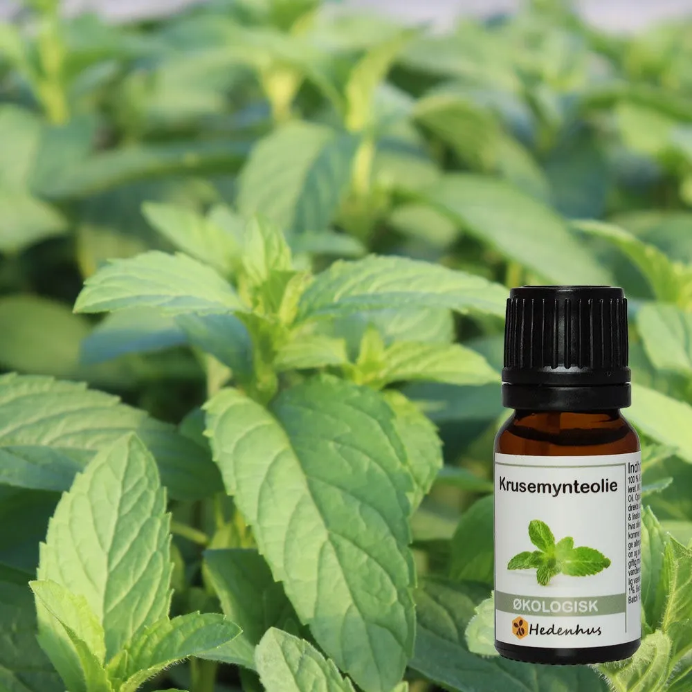 Hedenhus.dk Spearmint krusemynteolie økologisk
