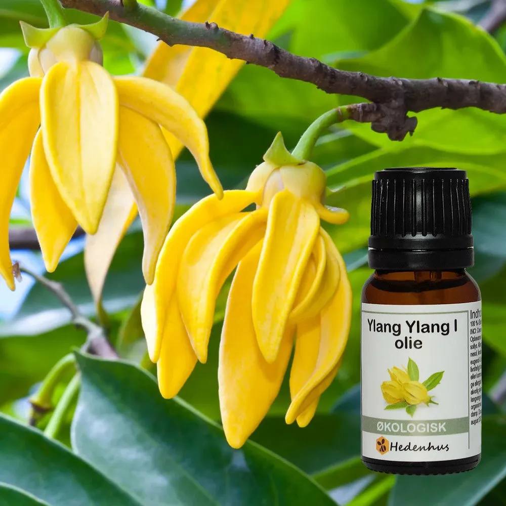 Hedenhus Ylang Ylang I olie økologisk æterisk